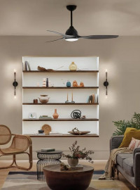 Ceiling Fans